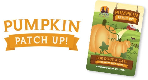 Weruva Pumpkin Patch Up! For Dogs & Cats Digestive Aid - 2.80 oz Pouch