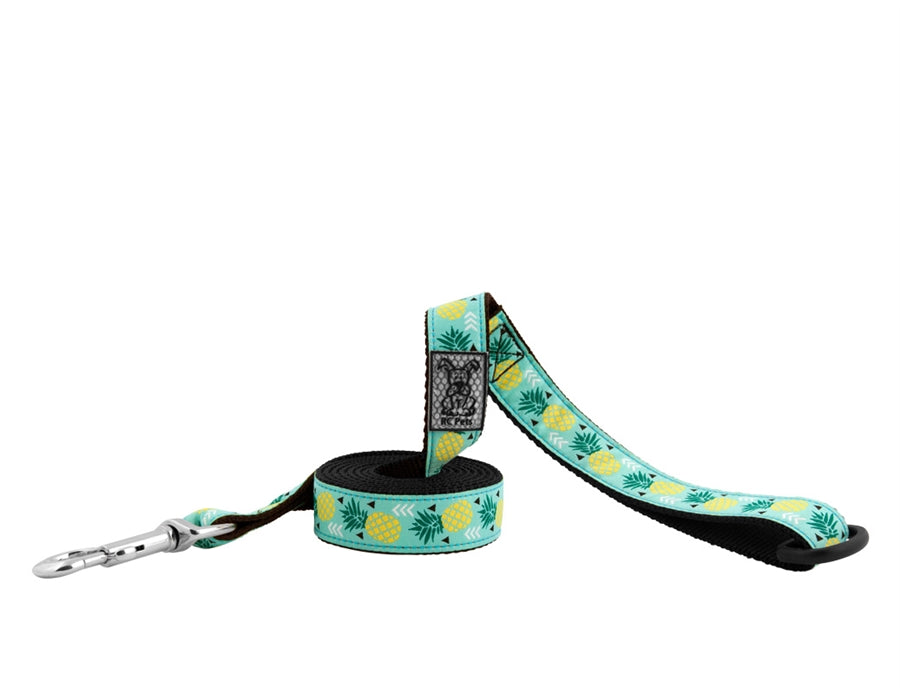 RC Pet Pineapple Parade Leash