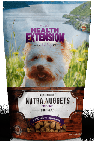 Health Extension Nutra Nuggets Dog Treat 4.5 oz. Go Healthy Pet